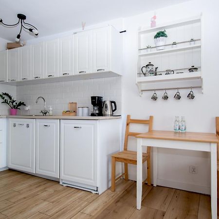 Apartament Przy Zdrojowej Ciechocinek Εξωτερικό φωτογραφία