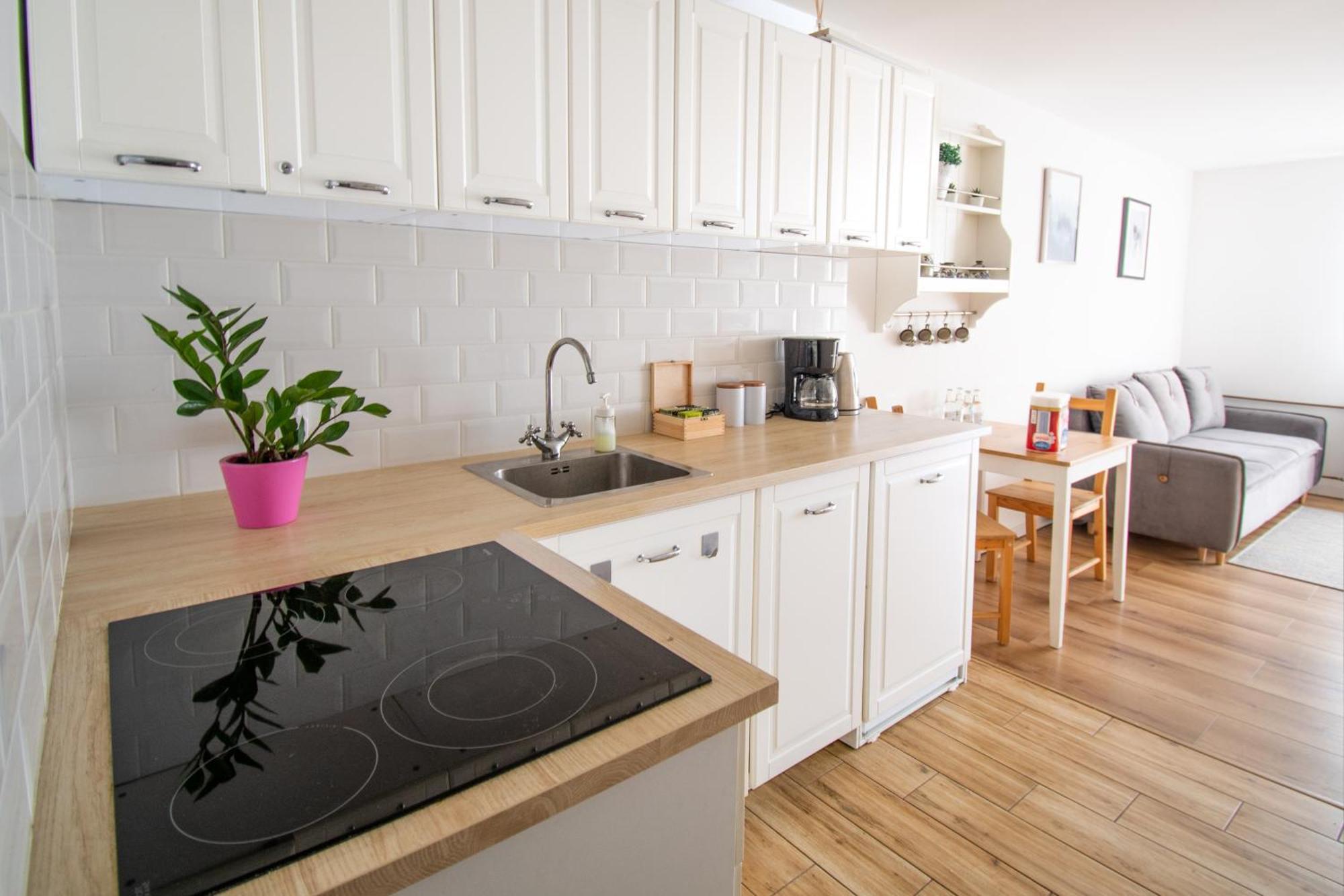 Apartament Przy Zdrojowej Ciechocinek Εξωτερικό φωτογραφία